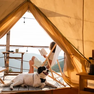 Какие услуги повышают ценность глэмпинга