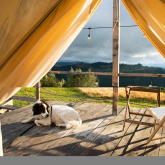 Глэмпинг и йога-ретриты: идеальное сочетание